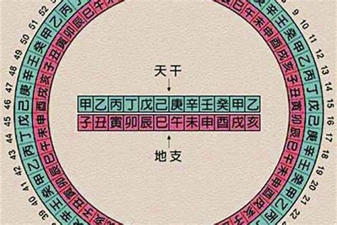 八字地支怎麼看